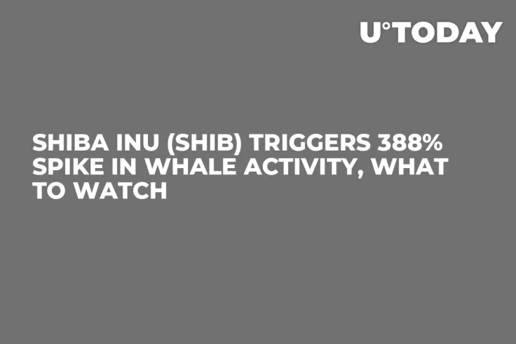 Shiba Inu (SHIB) Triggers 388% Spike in Whale Activity, What to Watch