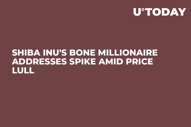 Shiba Inu's BONE Millionaire Addresses Spike Amid Price Lull