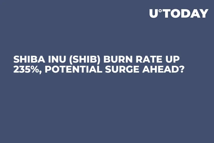 Shiba Inu (SHIB) Burn Rate up 235%, Potential Surge Ahead?