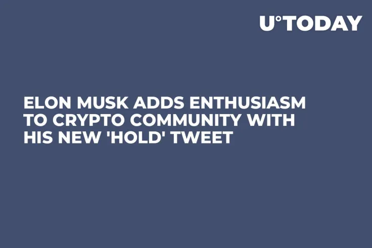 Elon Musk Adds Enthusiasm to Crypto Community With His New 'Hold' Tweet