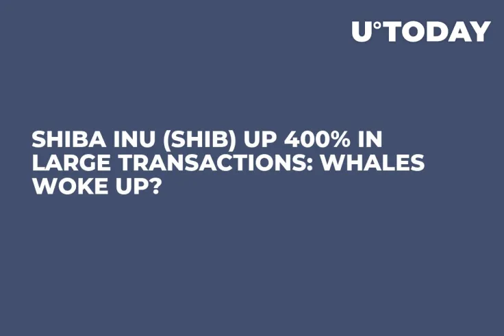 Shiba Inu (SHIB) up 400% in Large Transactions: Whales Woke Up?