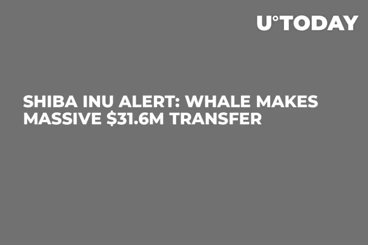 Shiba Inu Alert: Whale Makes Massive $31.6M Transfer