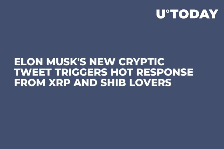 Elon Musk's New Cryptic Tweet Triggers Hot Response From XRP and SHIB Lovers