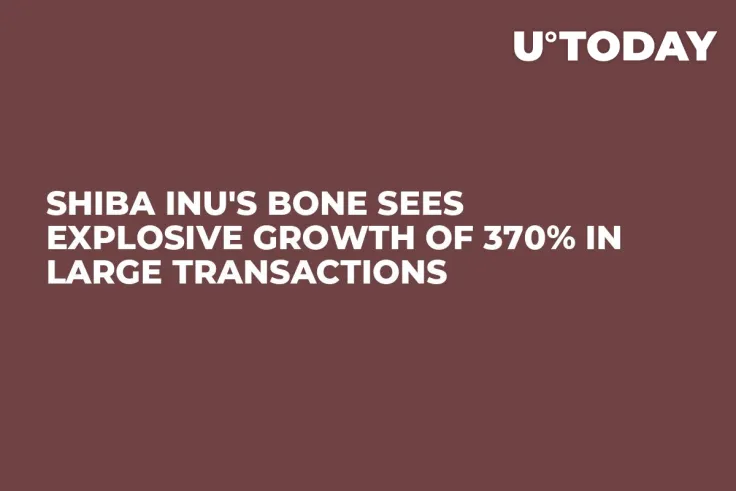 Shiba Inu's BONE Sees Explosive Growth of 370% in Large Transactions