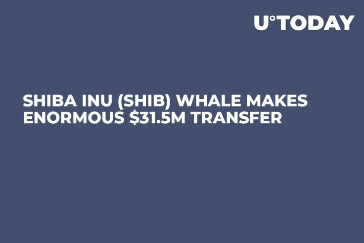 Shiba Inu (SHIB) Whale Makes Enormous $31.5M Transfer