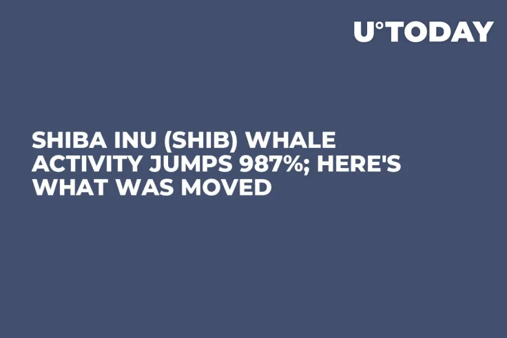 Shiba Inu (SHIB) Whale Activity Jumps 987%; Here's What Was Moved