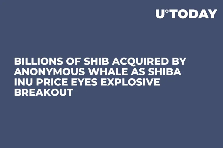 Billions of SHIB Acquired by Anonymous Whale as Shiba Inu Price Eyes Explosive Breakout