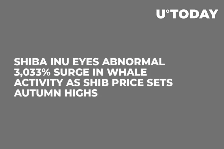 Shiba Inu Eyes Abnormal 3,033% Surge in Whale Activity as SHIB Price Sets Autumn Highs