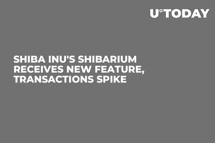 Shiba Inu's Shibarium Receives New Feature, Transactions Spike