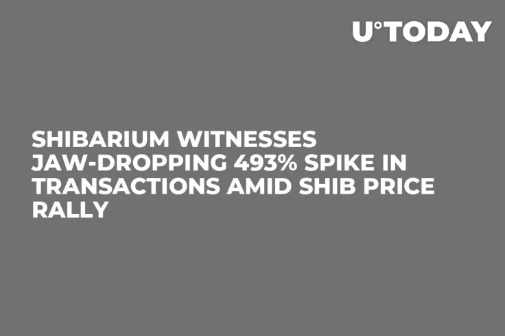 Shibarium Witnesses Jaw-Dropping 493% Spike in Transactions Amid SHIB Price Rally