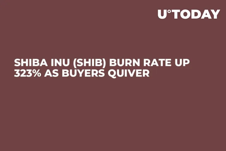 Shiba Inu (SHIB) Burn Rate up 323% as Buyers Quiver