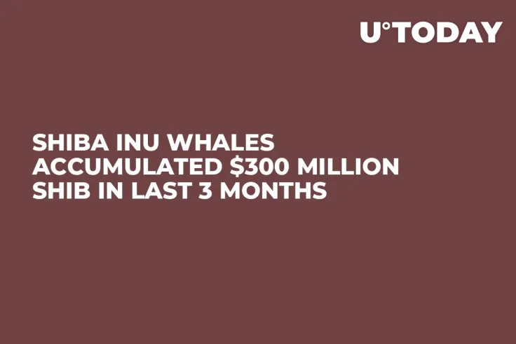 Shiba Inu Whales Accumulated $300 Million SHIB in Last 3 Months