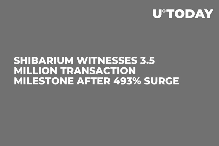 Shibarium Witnesses 3.5 Million Transaction Milestone After 493% Surge