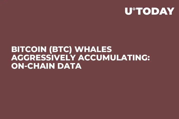 Bitcoin (BTC) Whales Aggressively Accumulating: On-Chain Data