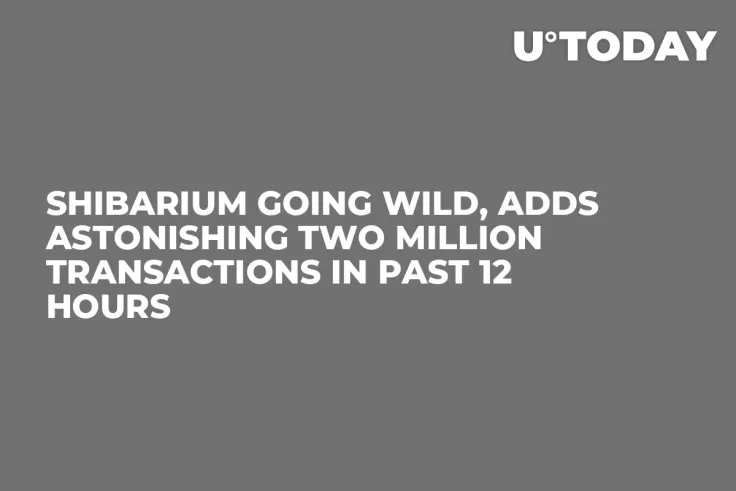 Shibarium Going Wild, Adds Astonishing Two Million Transactions in Past 12 Hours