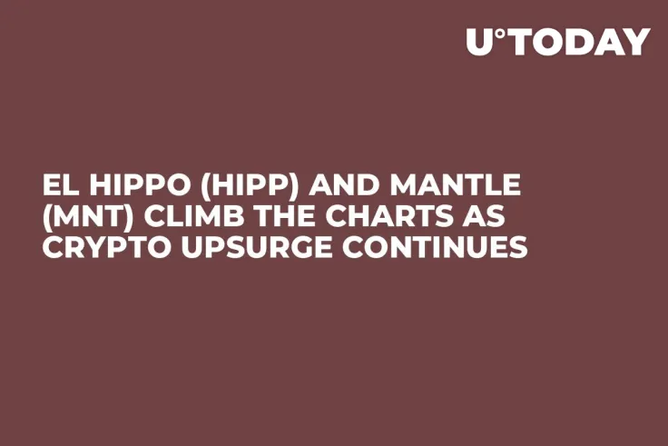 El Hippo (HIPP) and Mantle (MNT) Climb the Charts as Crypto Upsurge Continues