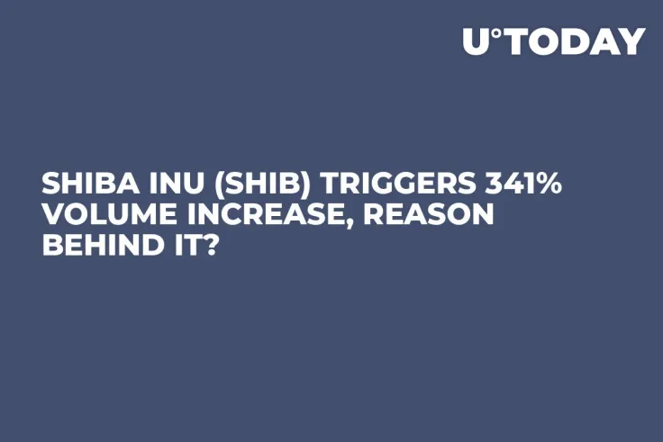 Shiba Inu (SHIB) Triggers 341% Volume Increase, Reason Behind It?