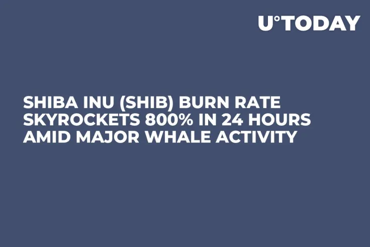 Shiba Inu (SHIB) Burn Rate Skyrockets 800% in 24 Hours Amid Major Whale Activity