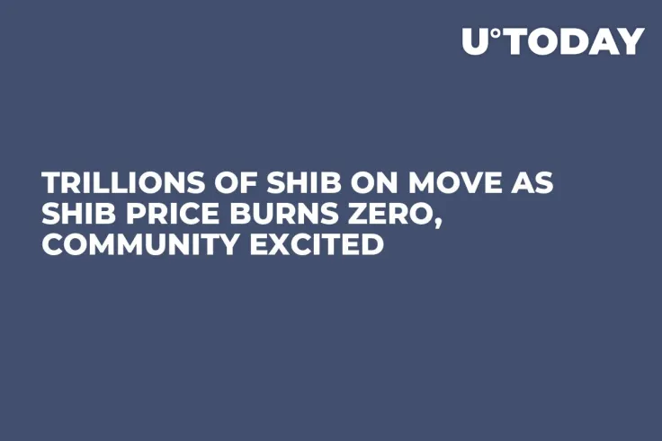 Trillions of SHIB on Move as SHIB Price Burns Zero, Community Excited