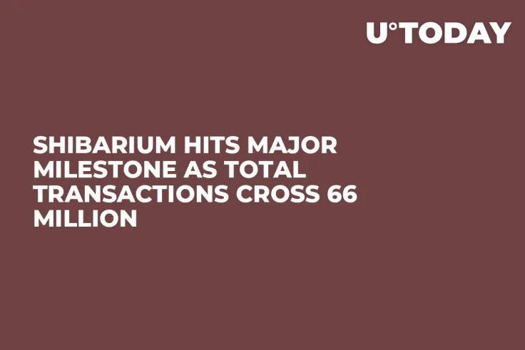 Shibarium Hits Major Milestone as Total Transactions Cross 66 Million