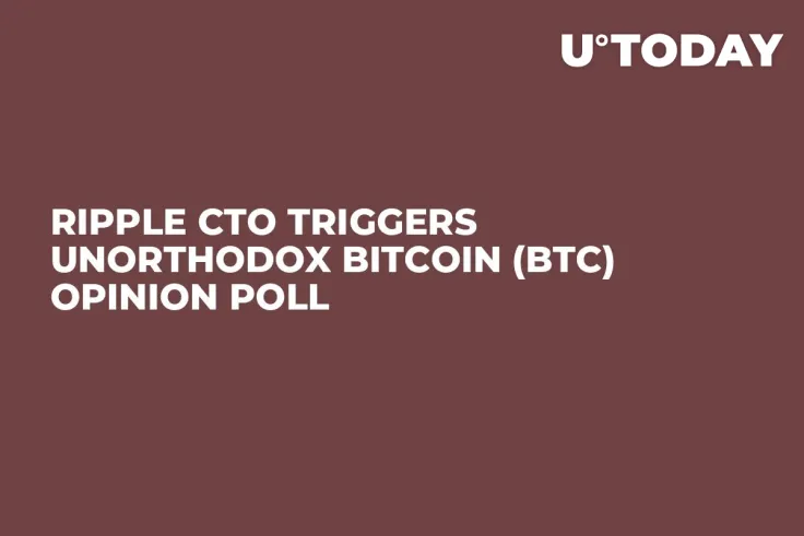 Ripple CTO Triggers Unorthodox Bitcoin (BTC) Opinion Poll