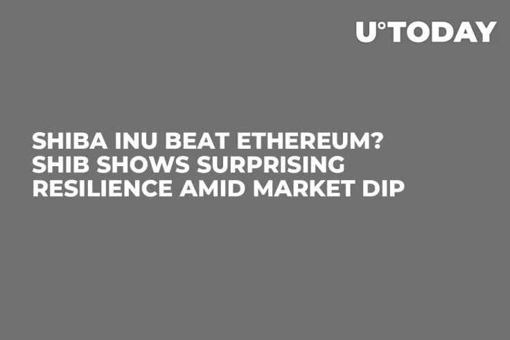 Shiba Inu Beat Ethereum? SHIB Shows Surprising Resilience Amid Market Dip