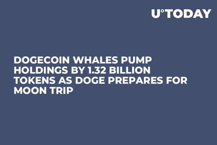 Dogecoin Whales Pump Holdings by 1.32 Billion Tokens as DOGE Prepares for Moon Trip