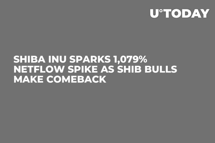 Shiba Inu Sparks 1,079% Netflow Spike as SHIB Bulls Make Comeback