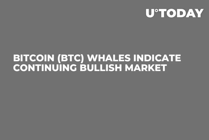 Bitcoin (BTC) Whales Indicate Continuing Bullish Market