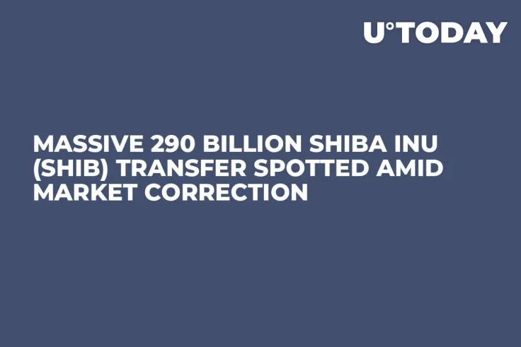 Massive 290 Billion Shiba Inu (SHIB) Transfer Spotted Amid Market Correction