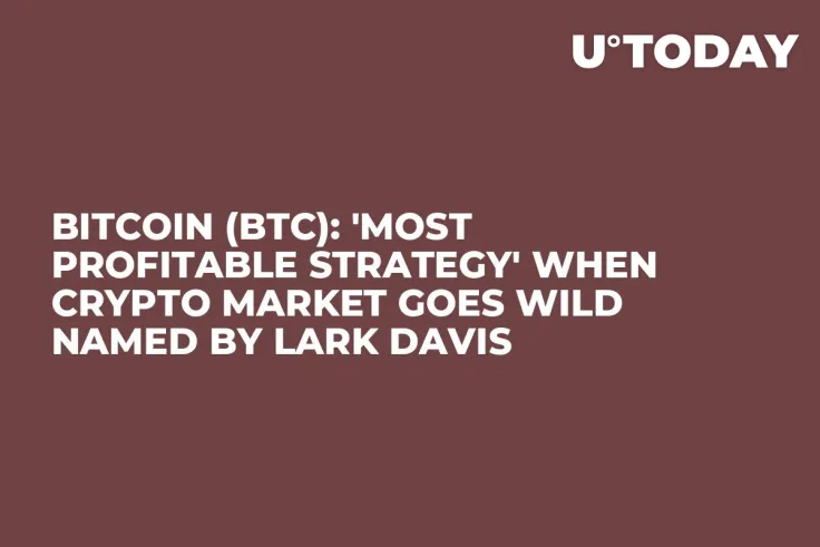Bitcoin (BTC): 'Most Profitable Strategy' When Crypto Market Goes Wild Named by Lark Davis
