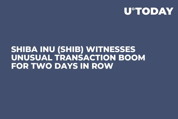 Shiba Inu (SHIB) Witnesses Unusual Transaction Boom for Two Days in Row
