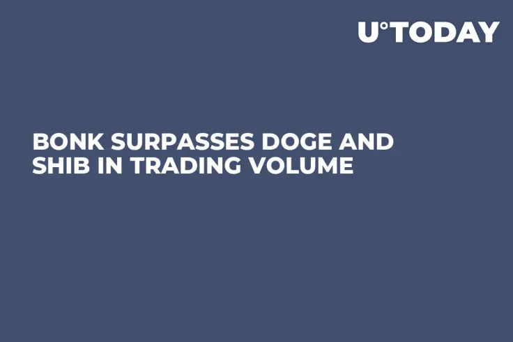 BONK Surpasses DOGE and SHIB in Trading Volume