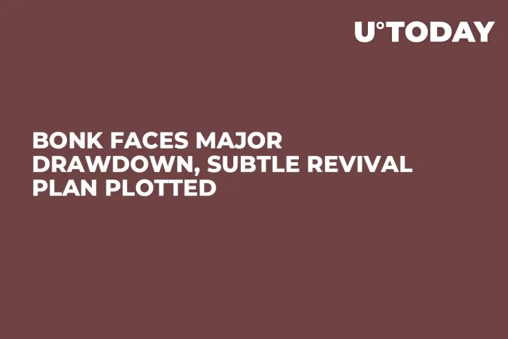 BONK Faces Major Drawdown, Subtle Revival Plan Plotted
