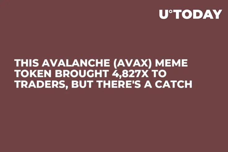 This Avalanche (AVAX) Meme Token Brought 4,827x to Traders, But There's a Catch