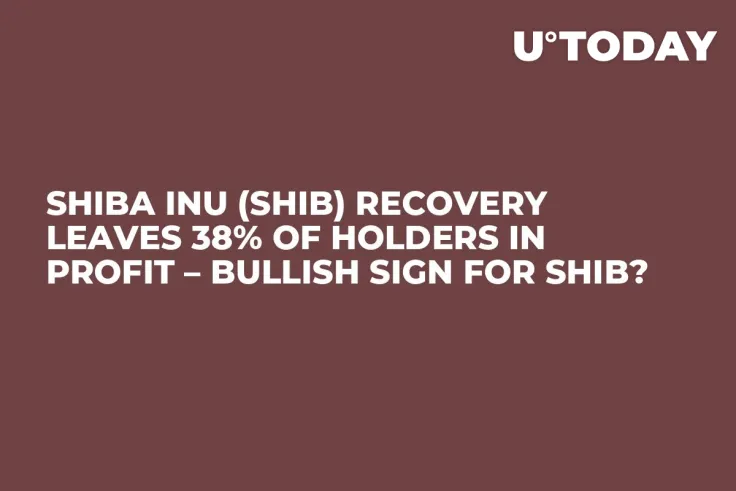 Shiba Inu (SHIB) Recovery Leaves 38% of Holders in Profit – Bullish Sign for SHIB?