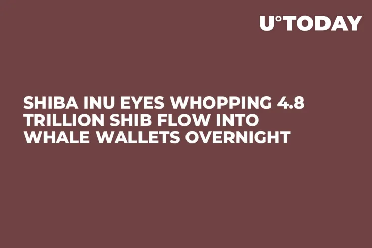 Shiba Inu Eyes Whopping 4.8 Trillion SHIB Flow into Whale Wallets Overnight