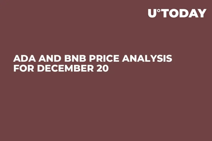 ADA and BNB Price Analysis for December 20