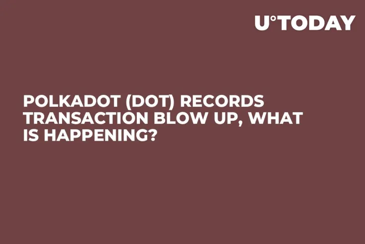 Polkadot (DOT) Records Transaction Blow up, What Is Happening?