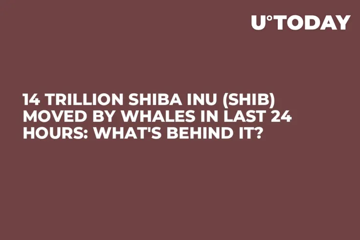 14 Trillion Shiba Inu (SHIB) Moved by Whales in Last 24 Hours: What's Behind It?