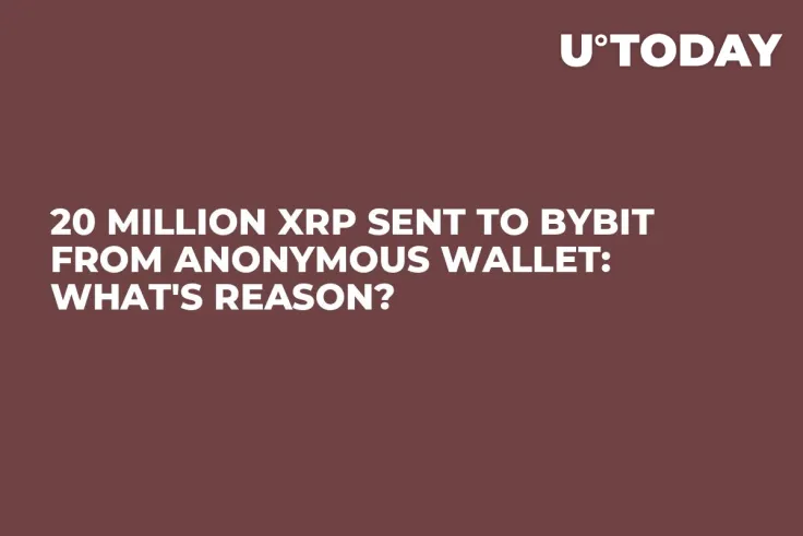 20 Million XRP Sent to Bybit From Anonymous Wallet: What's Reason?
