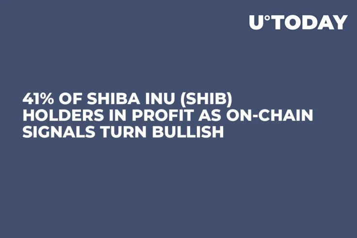 41% of Shiba Inu (SHIB) Holders in Profit as On-Chain Signals Turn Bullish