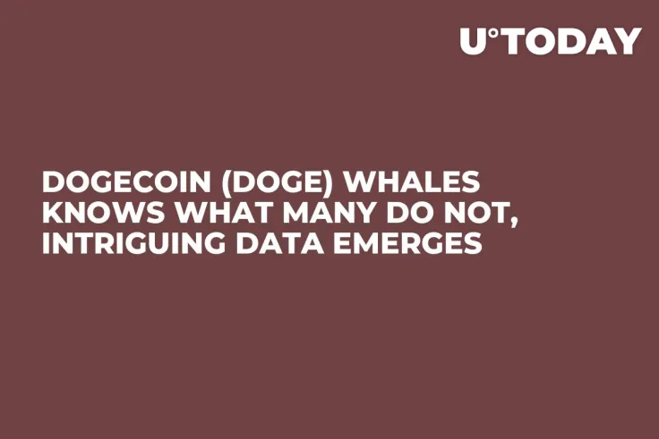 Dogecoin (DOGE) Whales Knows What Many Do Not, Intriguing Data Emerges