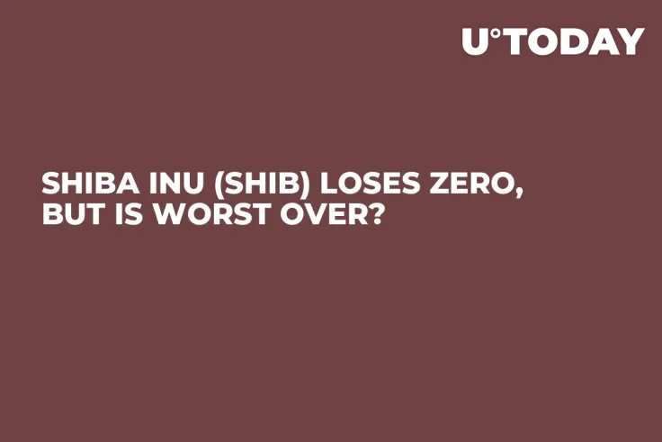 Shiba Inu (SHIB) Loses Zero, But Is Worst Over?