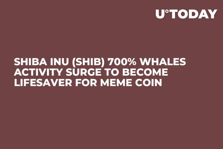Shiba Inu (SHIB) 700% Whales Activity Surge to Become Lifesaver for Meme Coin