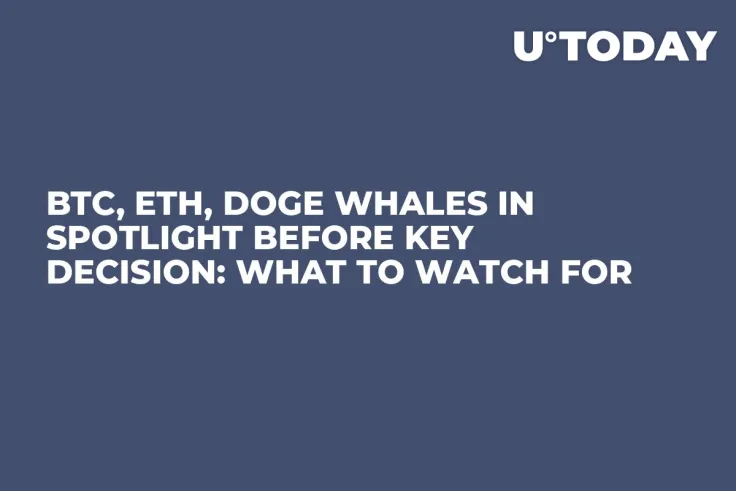 BTC, ETH, DOGE Whales in Spotlight Before Key Decision: What to Watch For