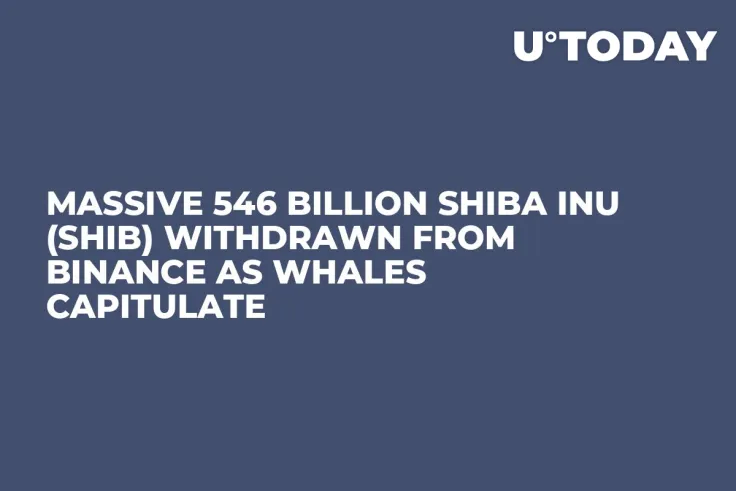 Massive 546 Billion Shiba Inu (SHIB) Withdrawn From Binance as Whales Capitulate