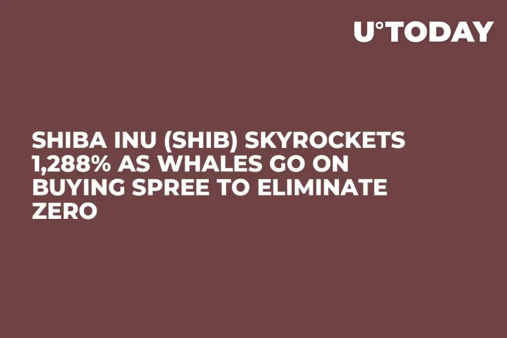 Shiba Inu (SHIB) Skyrockets 1,288% as Whales Go on Buying Spree to Eliminate Zero