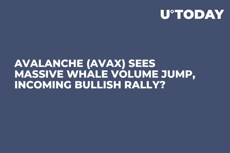 Avalanche (AVAX) Sees Massive Whale Volume Jump, Incoming Bullish Rally?