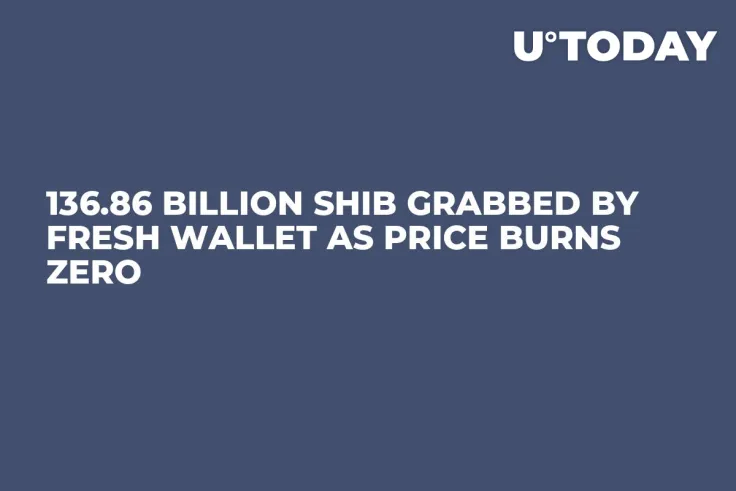 136.86 Billion SHIB Grabbed by Fresh Wallet as Price Burns Zero